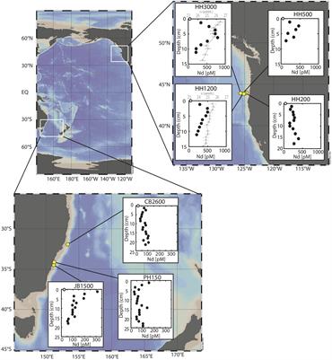 Are Clay Minerals the Primary Control on the Oceanic Rare Earth Element Budget?